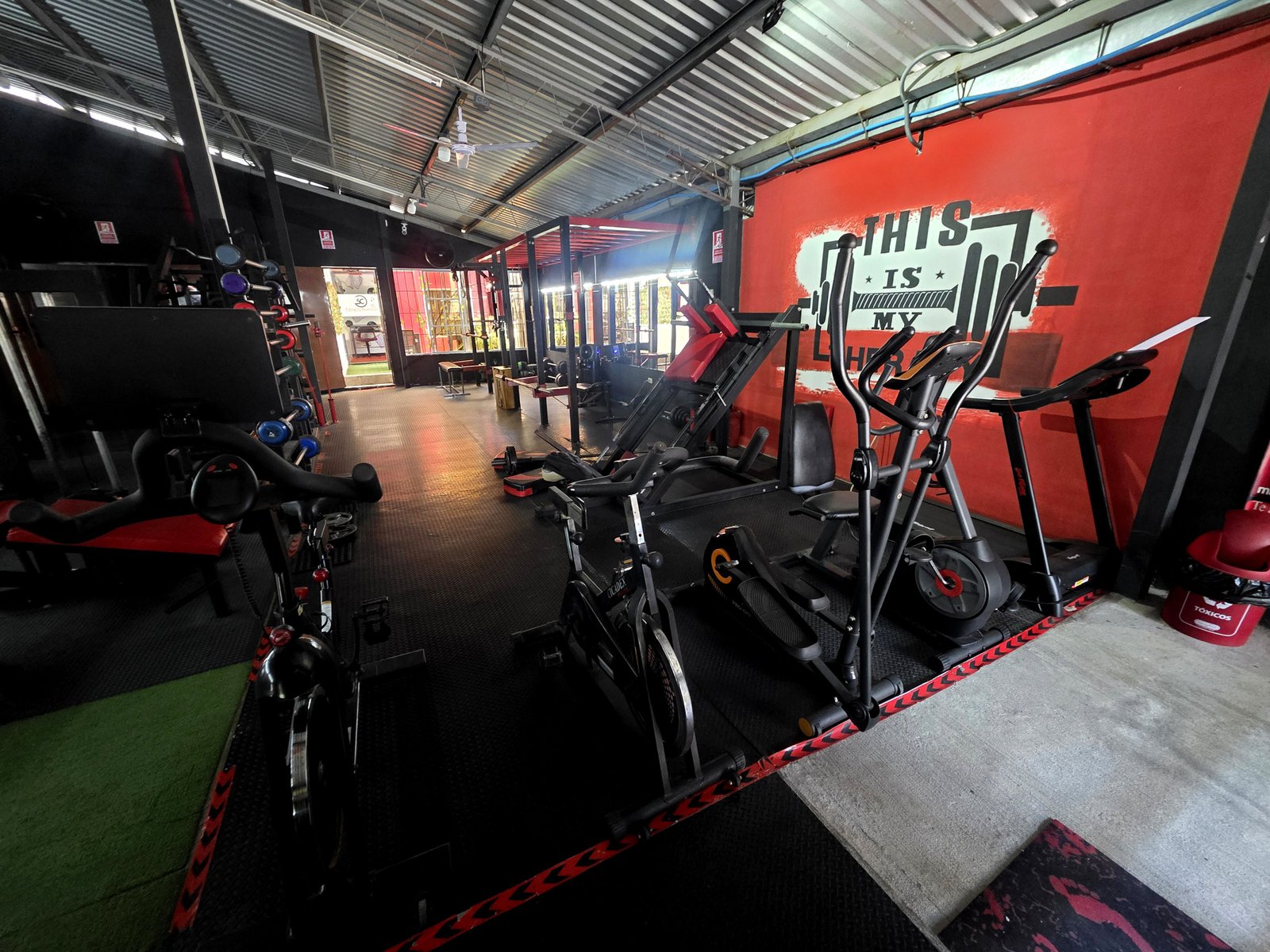 Cardio LISS